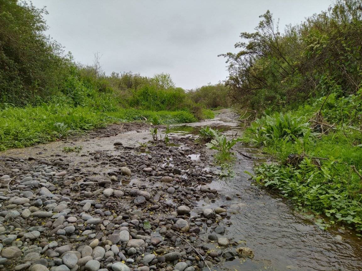 Día de la Astronomía El Monte